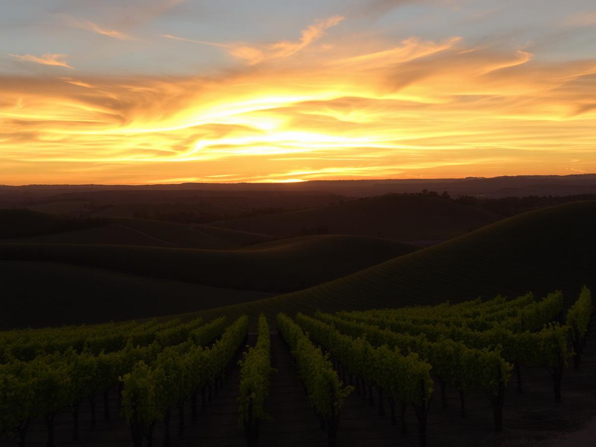 Adelaide Hills at sunset